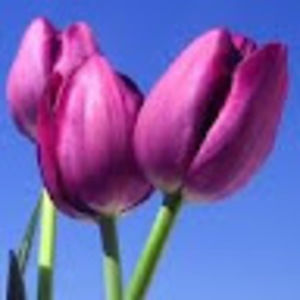 Meet your Posher, Jan